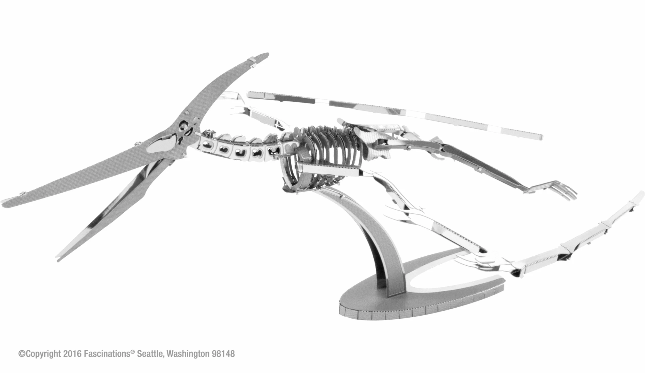 Fascinations Metal Earth Pteranodon Skeleton